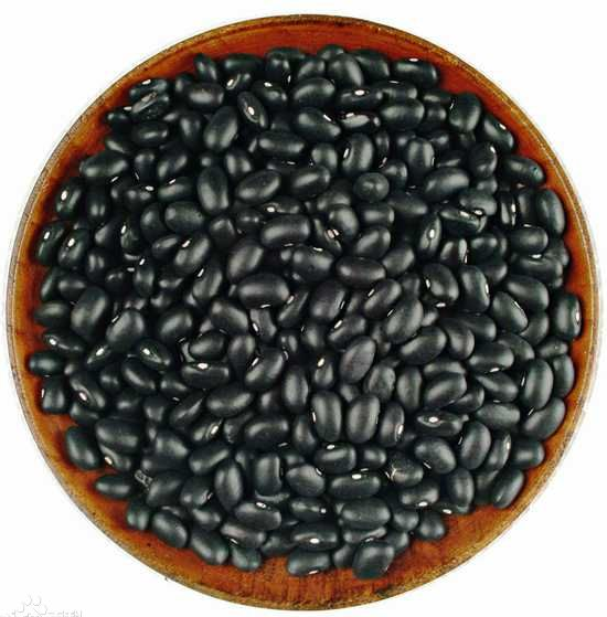 Black_Soybean.png