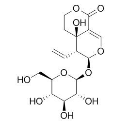 Swertiamarin-CFN99818.jpg