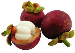 Mangosteen