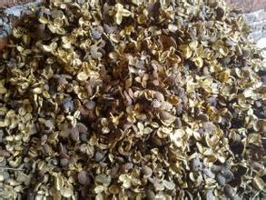 Tea seed peel