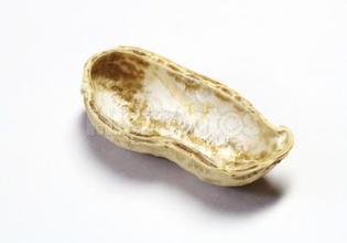 Peanut shell